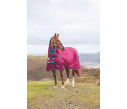 Highlander Original 300 Turnout Combo Rug In RSPBRY