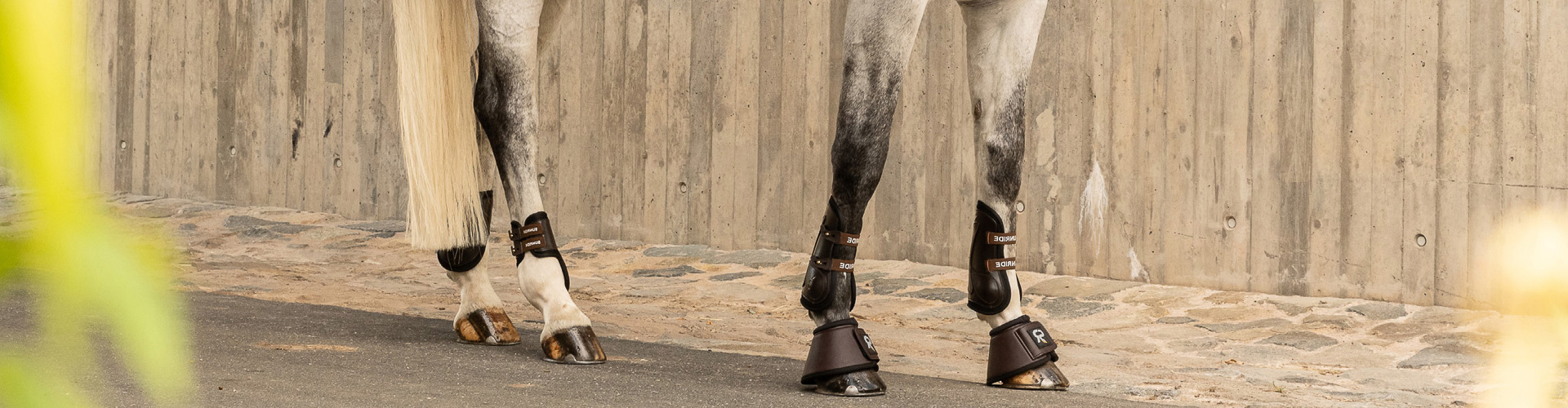 Fournitures Équestres Boutique -Fournitures Équestres Boutique 1