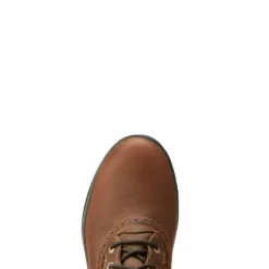 Ariat Womens Wythburn Tall H2O Dark Brown -Fournitures Équestres Boutique 10038286 toe