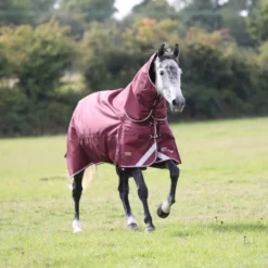 Highlander Plus 100 Combo Turnout Rug In Maroon