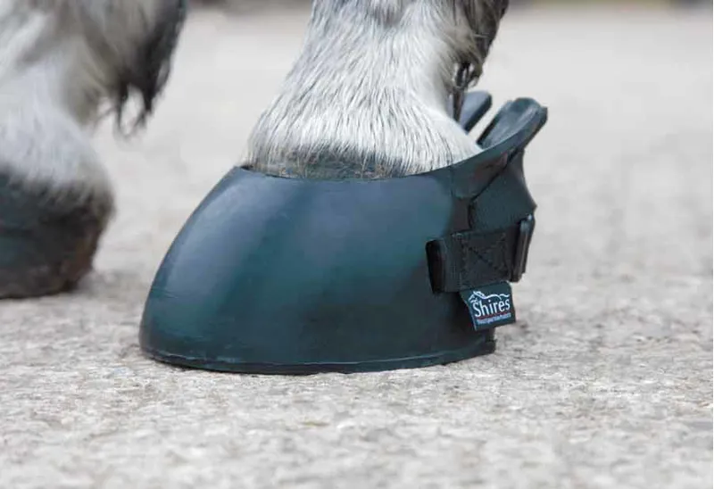 Shires Temporary Shoe Boot In Black 1 Shires Temporary Shoe Boot In Black