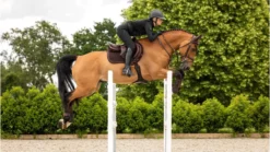 Le Mieux Crystal Suede Close Contact Square Brown