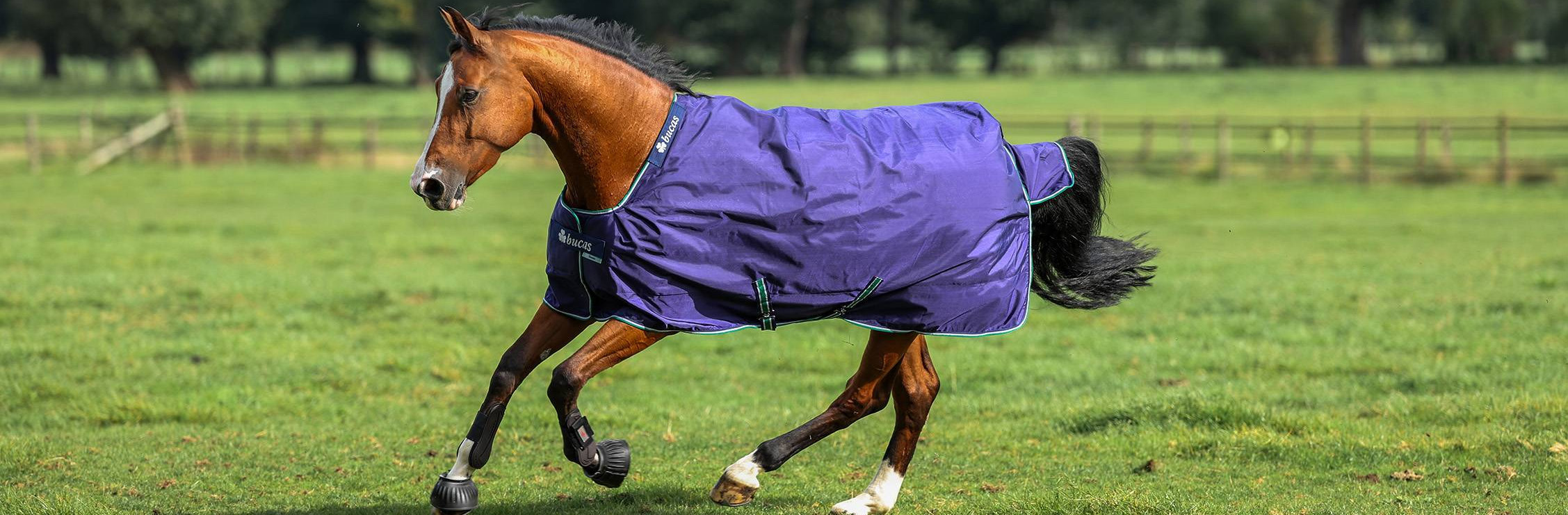 Fournitures Équestres Boutique -Fournitures Équestres Boutique 2