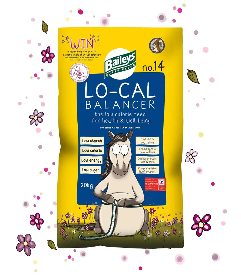 Baileys No.14 Lo-Cal Balancer 1 Baileys No.14 Lo-Cal Balancer