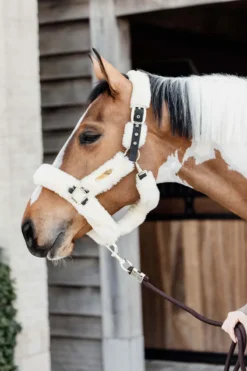 Kentucky Horsewear Kentucky Sheepskin Shipping Halter Natural