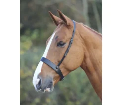 Velociti GARA Hunter Cavesson Noseband In BLACK