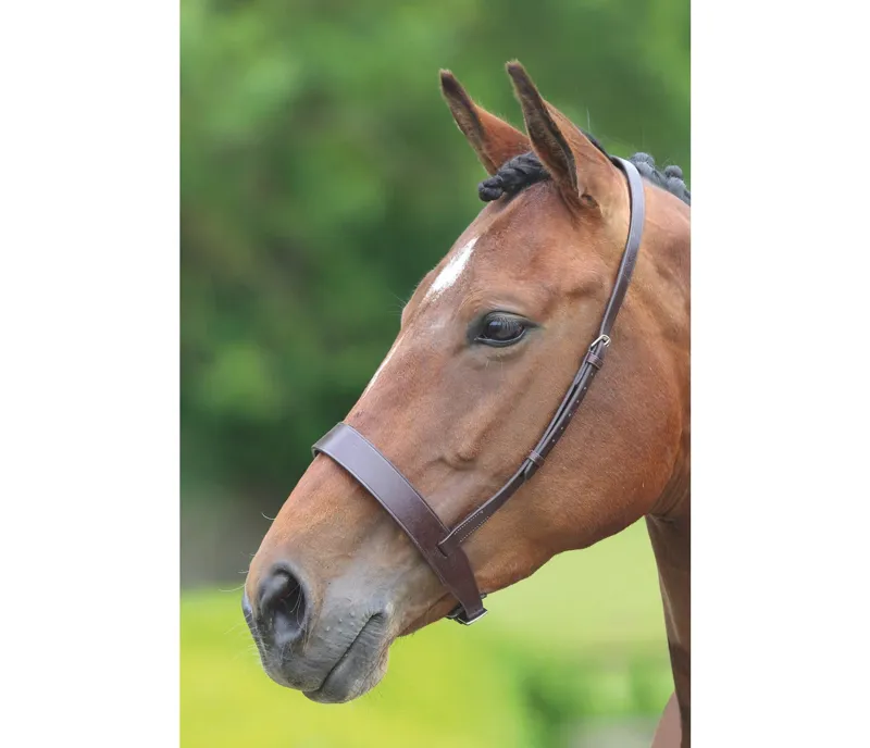 Velociti GARA Hunter Cavesson Noseband In BROWN 1 Velociti GARA Hunter Cavesson Noseband In BROWN