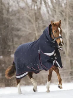 LeMiuex Kudos Turnout Rug 350g Navy