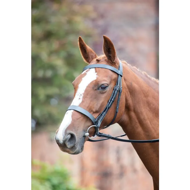 Avignon Hunter Cavesson Bridle In BLACK 1 Avignon Hunter Cavesson Bridle In BLACK