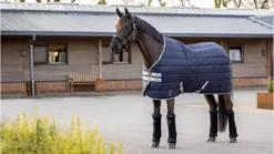 LeMieux Arika StableTek 100g Navy