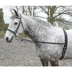 Shires Nylon Web Side Reins In BLACK