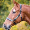 Shires Aviemore Leather Nameplate Headcollar Black