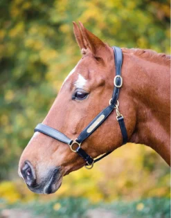 Shires Aviemore Leather Nameplate Headcollar Black