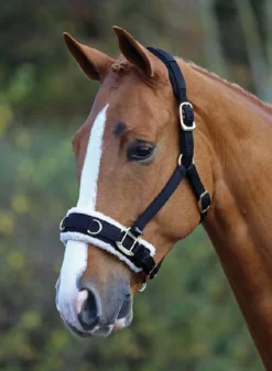 Shires Fleece Lined Lunge Cavesson In Black