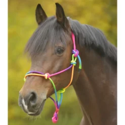 Waldhausen Paretti Rope Halter Multi Col.