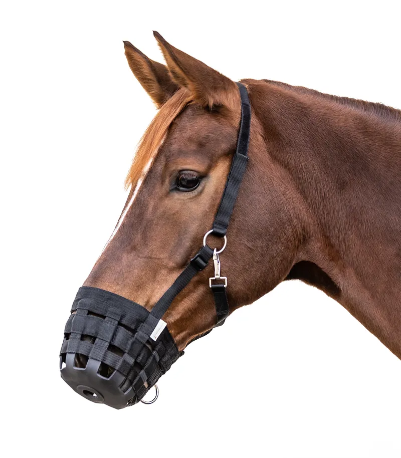 Waldhausen Grazing Muzzle Black 1 Waldhausen Grazing Muzzle Black