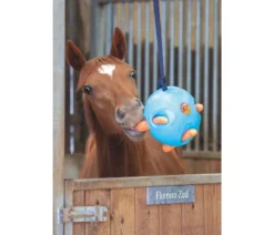 Shires Carrot Ball ONESIZE In BLUE
