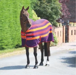 Tempest Original Newmarket Fleece Rug In PURPLE