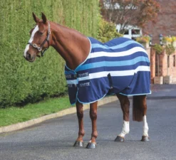 Tempest Original Newmarket Fleece Rug In BLUE