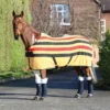 Tempest Original Newmarket Fleece Rug In Yellow