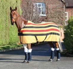 Tempest Original Newmarket Fleece Rug In Yellow