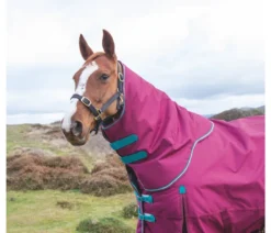 Highlander Original 300 Turnout Neck Cover In RSPBRY