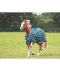 Typhoon Lite Combo Turnout Rug In GREEN