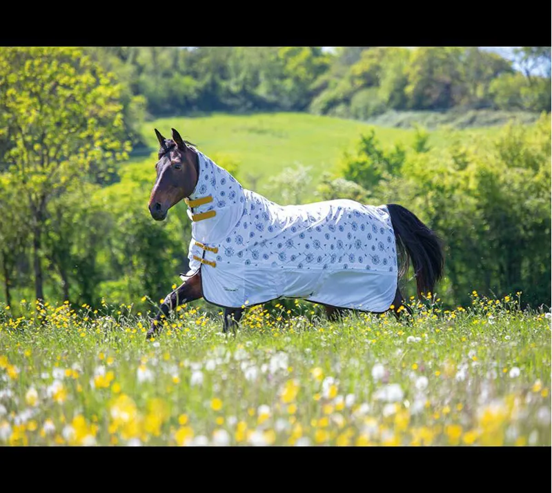 Tempest Original Dandelion Fly Combo Rug In White 1 Tempest Original Dandelion Fly Combo Rug In White