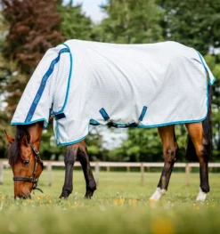 Amigo Aussie Allrounder Fly Rug