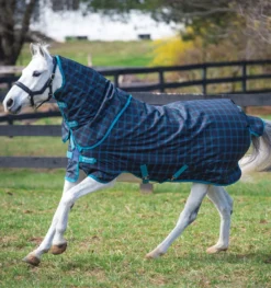 Amigo Pony Plus Turnout Rug 50g Black/Teal
