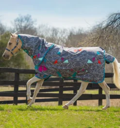 Amigo Pony Plus Lite Rug 0g 5 Amigo Pony Plus Lite Rug 0g -Fournitures Équestres Boutique AKRP90 OBZD amigo pony plus 0g turnout 1440x1536 1