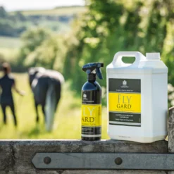 Carr Day Martin Flygard