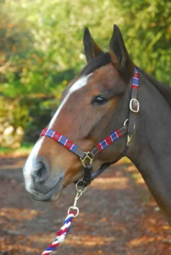 Chukka Leather Headcollar Rodrigo
