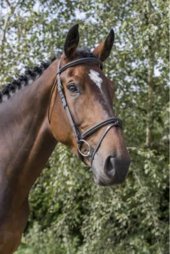 Ecorider Classic Comfort Bridle Brown