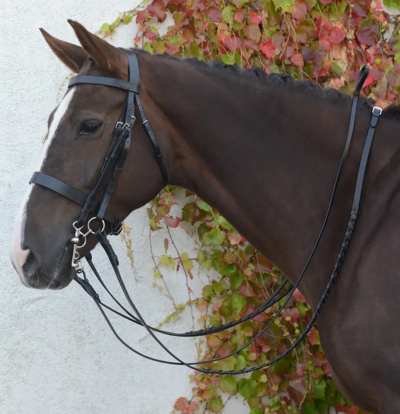 Mackey Classic Double Bridle Black 1 Mackey Classic Double Bridle Black