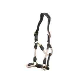 Apollo Air Anatomic Leather Headcollar Natural