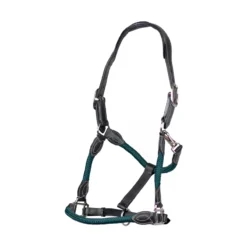 Apollo Air Anatomic Leather Headcollar Green