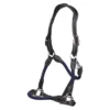 Apollo Air Anatomic Leather Headcollar Navy