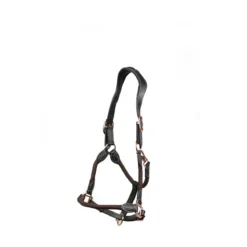 Apollo Air Anatomic Leather Headcollar Brown