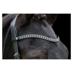 Ecorider Freedom Sapphire Browband Brown
