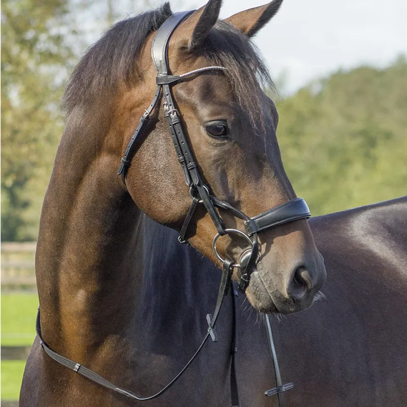 QHP Sedna Bridle Black Size Pony 1 QHP Sedna Bridle Black Size Pony