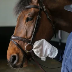 Carr Day Martin Belvoir Tack Cleaner Mitt
