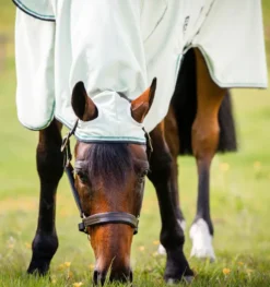 Rambo Hoody Rug Green -Fournitures Équestres Boutique afap70 gfmg rambo hoody no fill 6 pfa3mgsevvsd6e3g