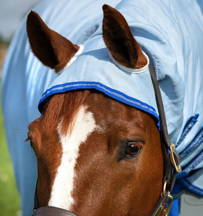 Amigo Ripstop Hoody Rug - Azure Blue 6ft9 5 Amigo Ripstop Hoody Rug - Azure Blue 6ft9 – Image 5