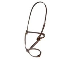Salisbury Brackley Noseband In AUSNUT