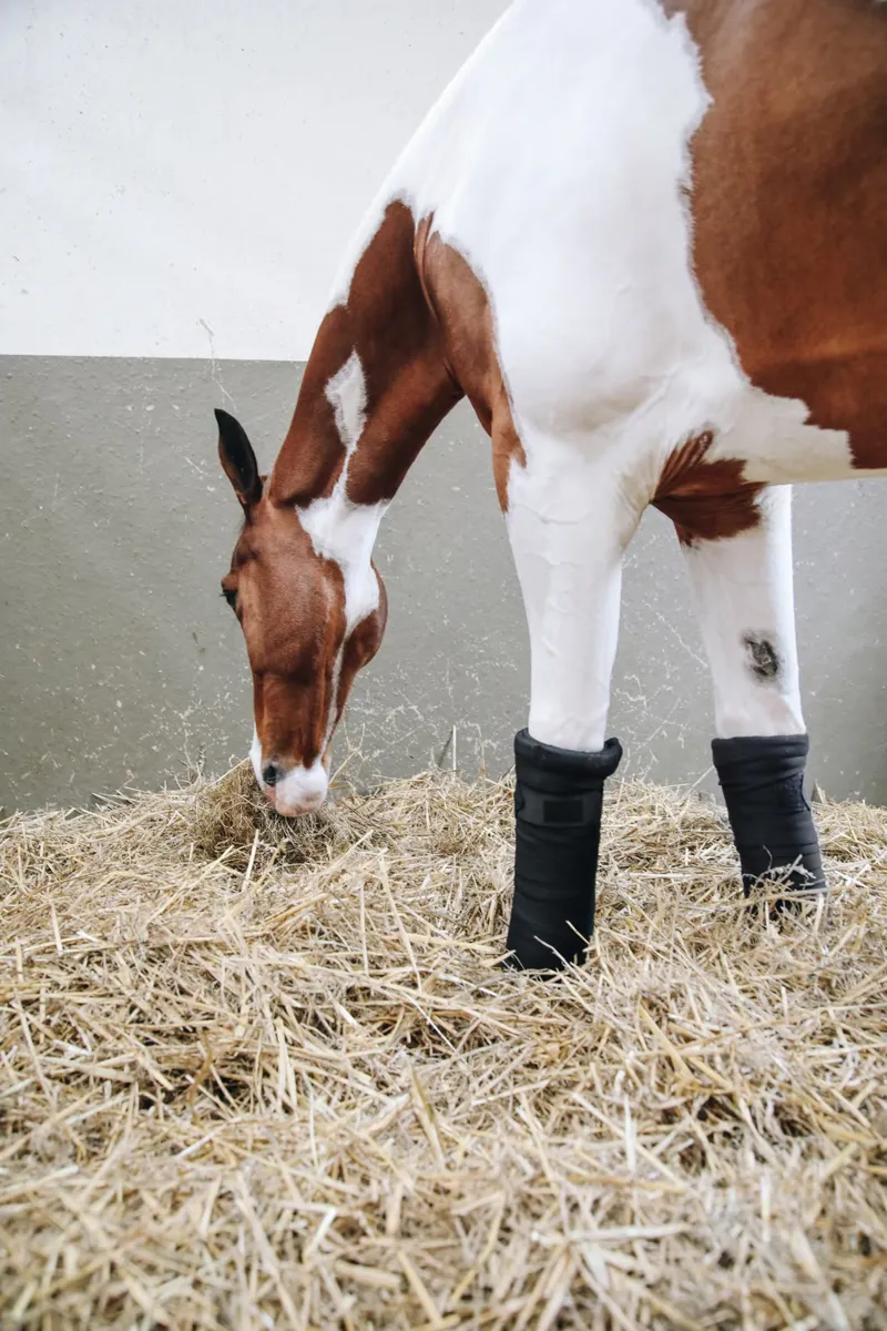 Kentucky Horsewear Kentucky Repellent Stable Bandages Black 2 Kentucky Horsewear Kentucky Repellent Stable Bandages Black – Image 2