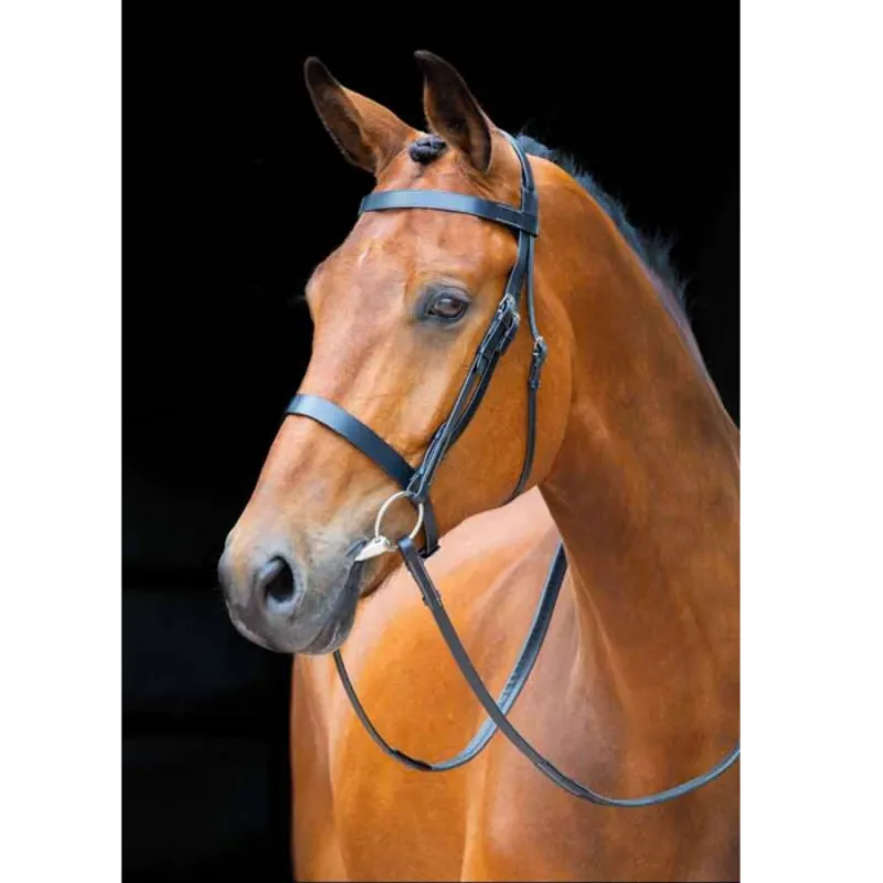 Salisbury Berrington Bridle In BLACK 1 Salisbury Berrington Bridle In BLACK
