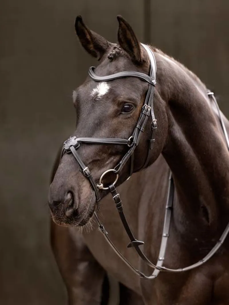 LeMieux Arika Grackle Bridle Black/Silver 6 LeMieux Arika Grackle Bridle Black/Silver – Image 6