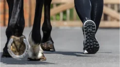 LeMieux Trax Waterproof Trainer Black