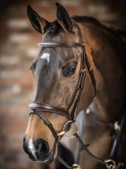 LeMieux Competition Flash Bridle Havana 11 LeMieux Competition Flash Bridle Havana -Fournitures Équestres Boutique brownb